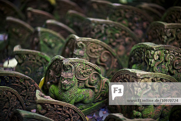 In einer Fabrik  die Terrakotta-Statuen für Gärten herstellt  werden die zerbrochenen oder mangelhaften Figuren weggeworfen und bald vom Dschungel verschluckt. Dies sind Tempellöwen; Chiang Mai  Thailand'.