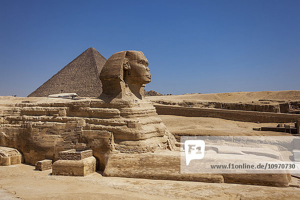 Die Sphinx und die Pyramiden; Gizeh  Ägypten'.