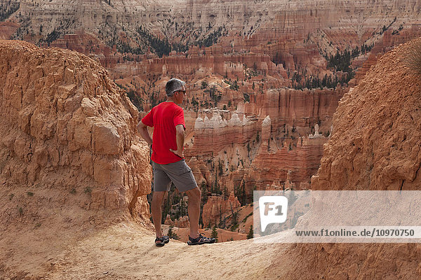 Ein älterer Mann wandert mit Blick auf den Bryce Canyon National Park; Utah  Vereinigte Staaten'.