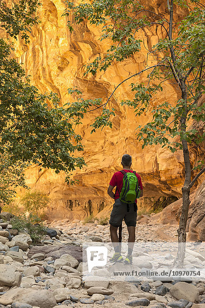 'A senior man hikes in the slot canyon in Zion National Park along the creek bed of the Virgin River; Utah  United States of America'