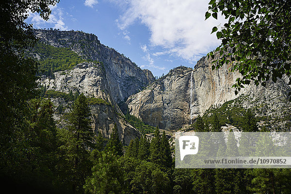 Wasserfall  Yosemite Valley  Yosemite National Park; Kalifornien  Vereinigte Staaten von Amerika'.