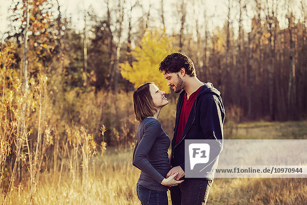 Ein junges Paar  das sich in die Augen schaut und küsst  in einem Park im Herbst; Edmonton  Alberta  Kanada