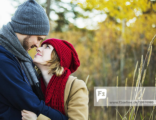 'A young couple looking into each other's eyes and kissing in a city park in autumn; Edmonton  Alberta  Canada'