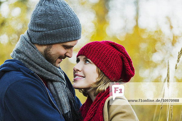 Ein junges Paar  das sich im Herbst in einem Stadtpark in die Augen schaut; Edmonton  Alberta  Kanada'.