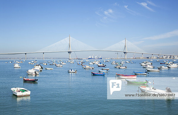'Boats moored in a tranquil harbour; Cadiz de la Frontera Andalusia Spain'