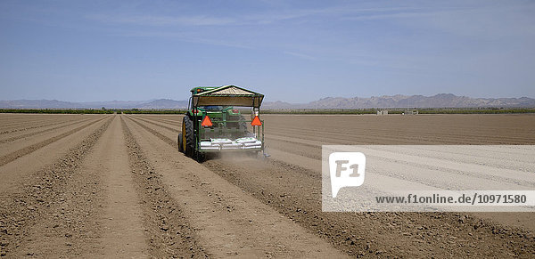 In the Coachella Valley  a tractor prepares ground for seeding a field with Sudangrass  mountains and blue sky in background; Coachella  California  United States of America