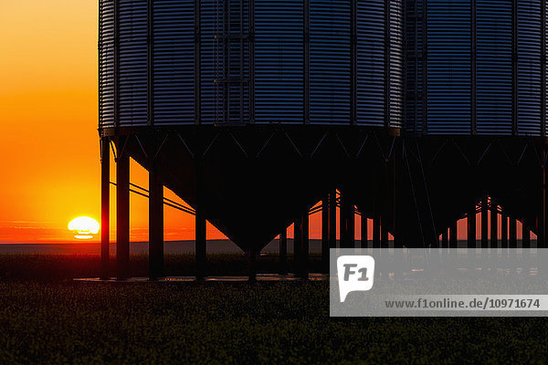 Silhouette einer Reihe von großen Getreidesilos aus Metall mit dem Sonnenaufgang im Hintergrund und bunten Wolken; Alberta  Kanada