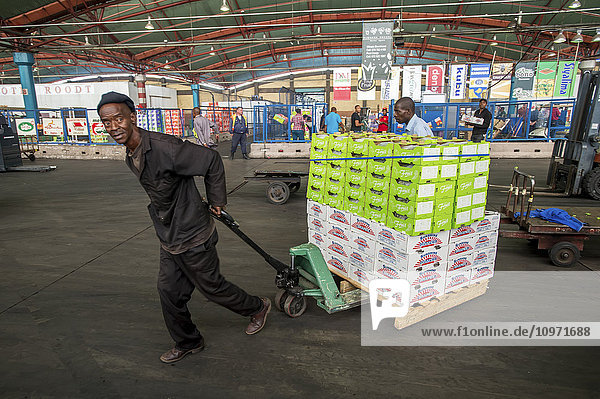 Mann  der einen beladenen Wagen auf dem Tshwane Fresh Produce Market zieht; Pretoria  Gauteng  Südafrika