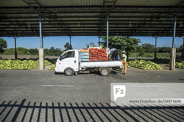 Beladen eines weißen Pickups auf dem Tshwane Fresh Produce Market; Pretoria  Gauteng  Südafrika