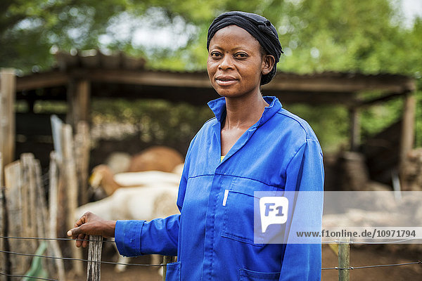 Frau auf einer Farm mit Damaraschafen; Ghanzi  Botswana
