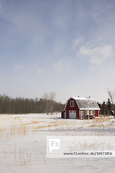 Ein rotes Scheunenhaus auf dem Lande im Winter; Winnipeg  Manitoba  Kanada