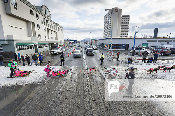 Der Verkehr hält auf der 5th Avenue an  damit der Iditarod-Musher DeeDee Jonrowe die Straße in der Innenstadt von Anchorage während des offiziellen Starttages des Iditarod 2015 in Anchorage  Alaska  überqueren kann.