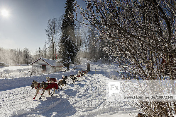 Paul Gebhart runs past the hot springs and steam rising as he leaves the checkpoint in Manley Hot Springs during the 2015 Iditarod