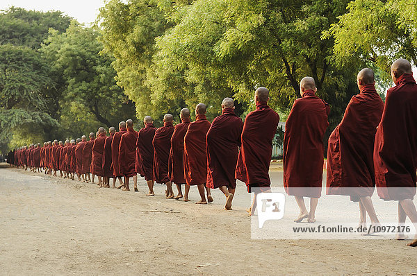 'Buddhist monks walking barefoot down a road in a row; Myanmar'