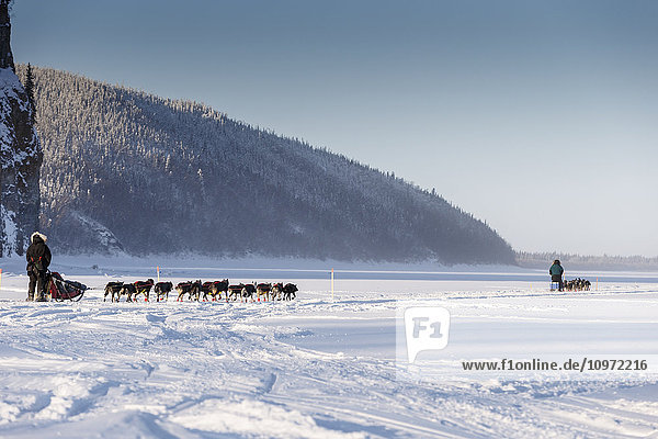 Anna Berington follows Jodi Bailey down the Yukon River in the morning after leaving the Ruby checkpoint during Iditarod 2015