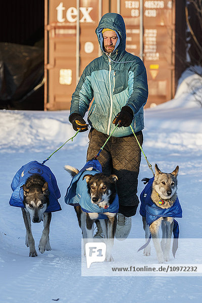 Nicholas Petit trainiert drei seiner Hunde während ihres 24-stündigen Aufenthalts am Kontrollpunkt in Galena während des Iditarod 2015