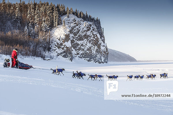 Charley Bejna drops onto the Yukon River in the morning after leaving the Ruby checkpoint during Iditarod 2015