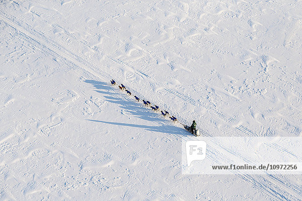 Aerial view of a dog team on the Yukon River and nearing Galena during Iditarod 2015