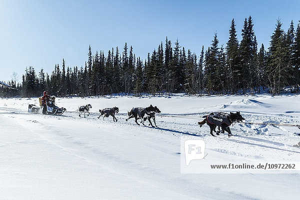 Lance Mackey runs on a slough after leaving Galena in the morning during Iditarod 2015