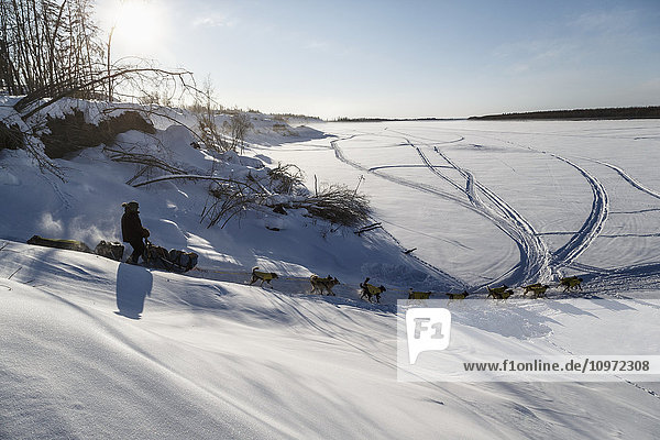 Mats Pettersson fällt nach dem Verlassen des Huslia-Kontrollpunkts während des Iditarod 2015 das Ufer hinunter und auf den Koyukuk River.