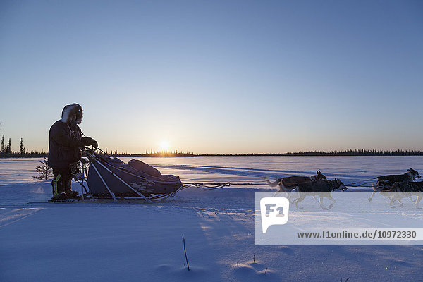 Lev Shvarts läuft bei Sonnenuntergang ein paar Kilometer vor dem Kontrollpunkt Huslia während des Iditarod 2015