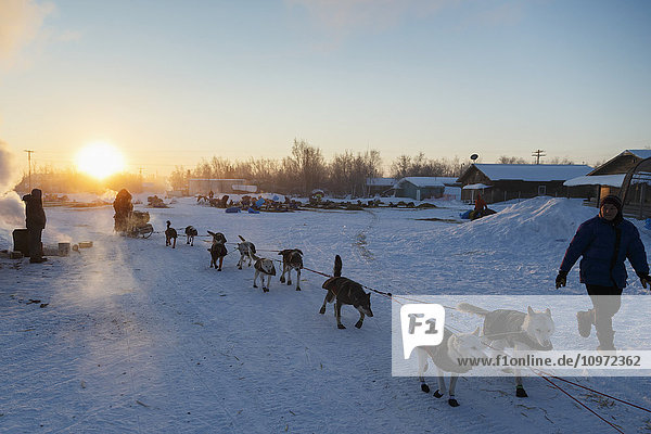 Ein Hundeteam verlässt bei Sonnenaufgang den Kontrollpunkt Huslia während des Iditarod 2015