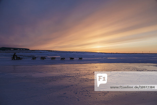 Aaron Burmeister läuft bei Sonnenuntergang während des Iditarod 2015 vom Unalakleet-Kontrollpunkt aus über den Slough.