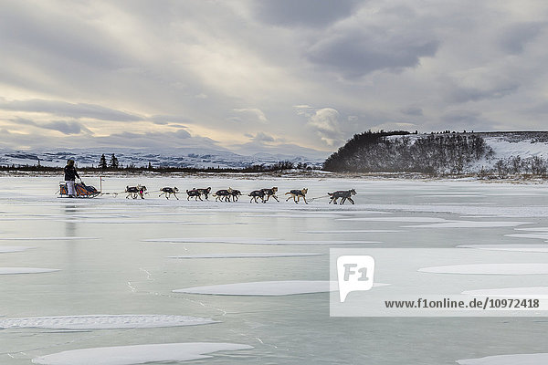 Christian Turner on the trail in 30 mph wind on a lagoon 3 miles before the Unalakleet checkpoint during Iditarod 2015