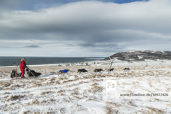 Nathan Schroeder runs on the trail through tussocks in 30 mph wind several miles after leaving the Unalakleet checkpoint with the Bering Sea in the background during Iditarod 2015