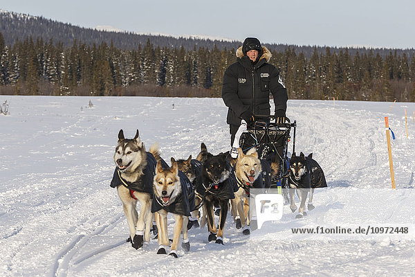 Dallas Seavey is on the trail a few miles after leaving the White Mountain checkpoint during Iditarod 2015