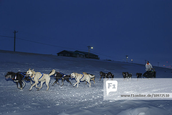 Martin Buser runs down the shore of the Bering Sea a mile from the finish line in Nome during Iditarod 2015