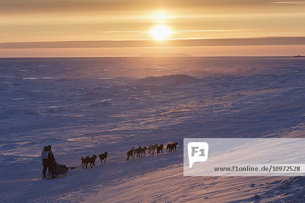 Mark Selland auf dem Trail ein paar Meilen vor Nome bei Sonnenuntergang während des Iditarod 2015