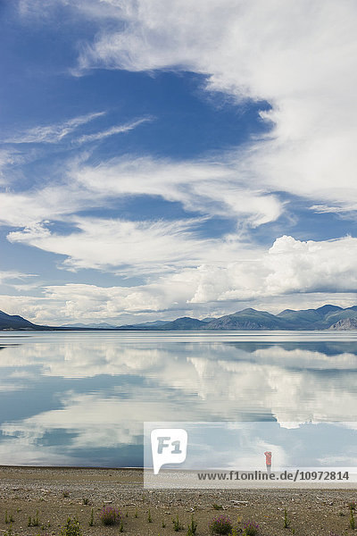 A woman stands at the shore of Kluane Lake with mountains and clouds reflecting in the calm waters of Kluane Lake  Yukon Territory  Canada  Summer