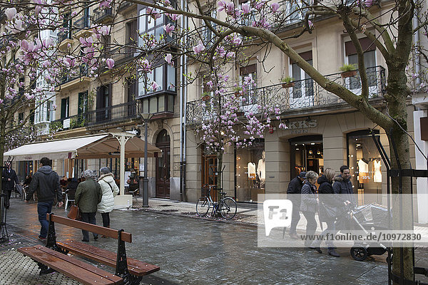 'Families and shoppers in the commercial district of the city centre walking past magnolia trees with pink blossoms; San Sebastian  Spain'