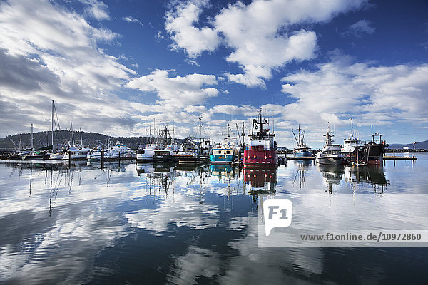 Blick auf Wolken und Fischerboote  die sich im Hafen von Bellingham  Washington  USA  spiegeln