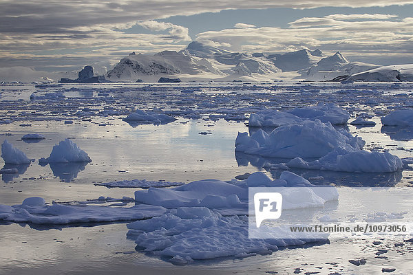 'Icebergs in front of Neko Harbor  Antarctic Peninsula; Antarctica'