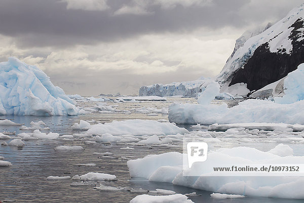 'Icebergs in Neko Harbor  Antarctic Peninsula; Antarctica'