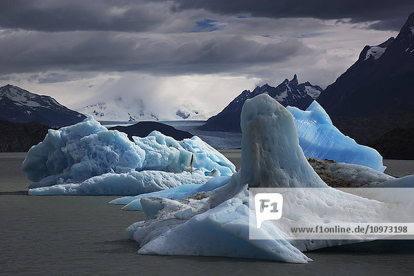 Eisberge im Lago Grey  Torres del Paine National Park  Chile; Region Magallanes  Chile'.