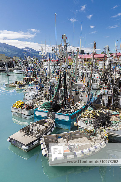 View of seine fishing boats and nets in the Valdez boat harbor  Southcentral Alaska  Summer.