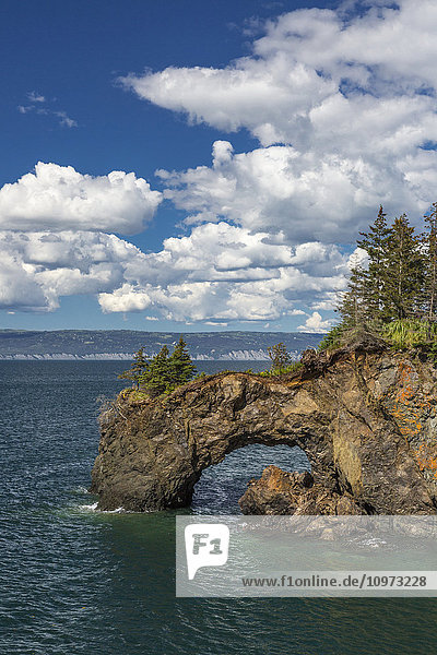 View of a rock arch in Kachemak Bay near Halibut Cove  Southcentral Alaska  Summer.