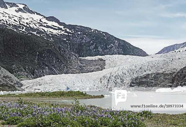 Scenic view of Mendenhall Glacier  Tongass National Forest  Southeast Alaska  summer