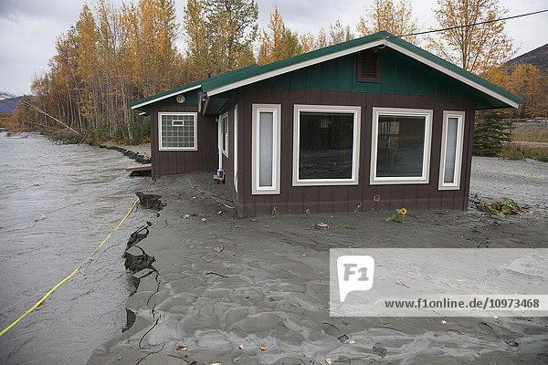 Blick auf ein Haus  das in die Fluten des Matanuska River zu stürzen droht  Palmer  Süd-Zentral-Alaska  Herbst