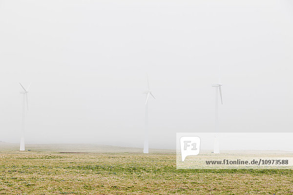 'Wind turbines on green tundra in heavy fog  St. Paul Island  Southwestern Alaska  USA  Summer'