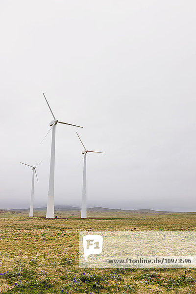 Windturbinen auf grüner Tundra  St. Paul Island  Südwest-Alaska  USA  Sommer'.