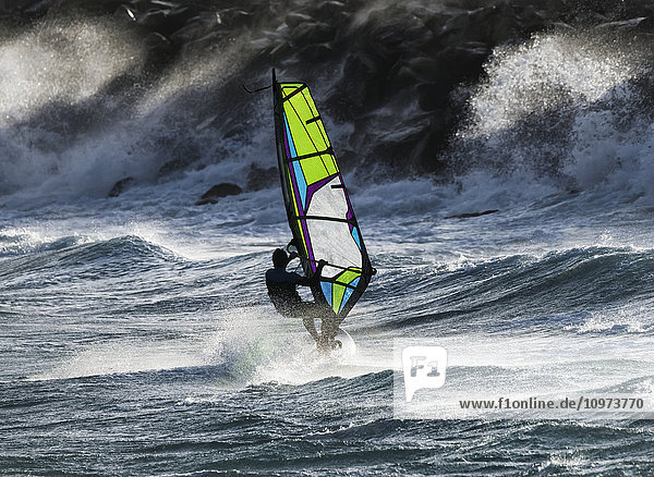 'Windsurfer in the waves; Tarifa  Cadiz  Andalusia  Spain'