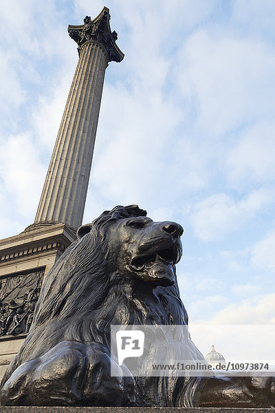'Nelson's Column in Trafalgar Square; London  England'