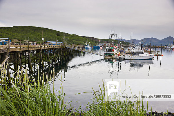 Uferpromenade und Fußweg zu den angedockten Fischerbooten im Sand Point Harbor  Popof Island  Südwest-Alaska  USA  Sommer