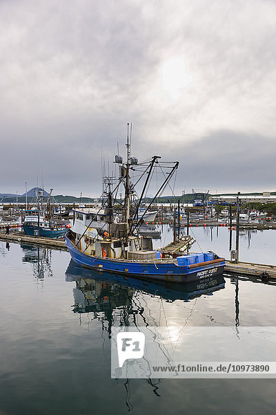 Fischerboote angedockt im Hafen von Sand Point  Sand Point  Südwest-Alaska  USA  Sommer'.