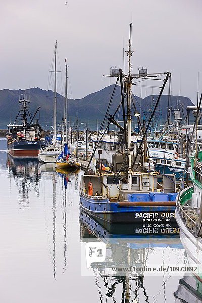 Fischerboote angedockt im Hafen von Sand Point  Sand Point  Südwest-Alaska  USA  Sommer'.