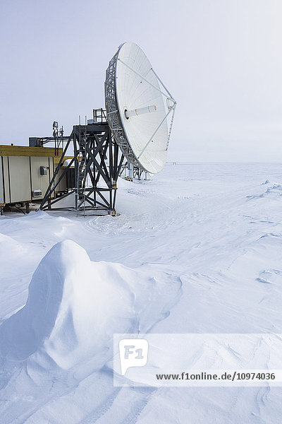 Satellitenschüssel zeigt auf kahles Meereis  vom Wind geformte Schneeverwehungen im Vordergrund  Barrow  North Slope  Arctic Alaska  USA  Winter'